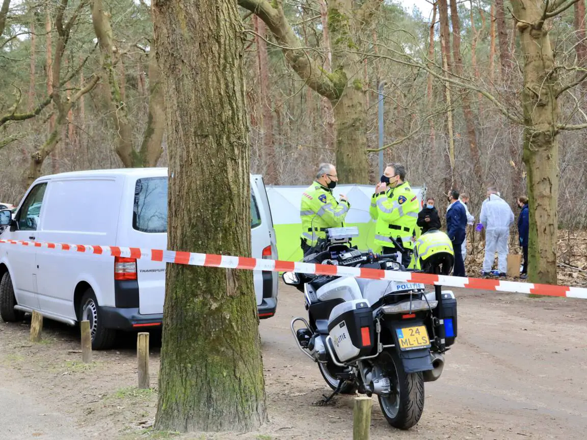 الشرطة الهولندية تعثر على جنين في الغابة