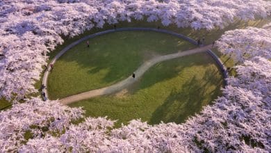 حديقة بلوسوم أمستردام - هولندا