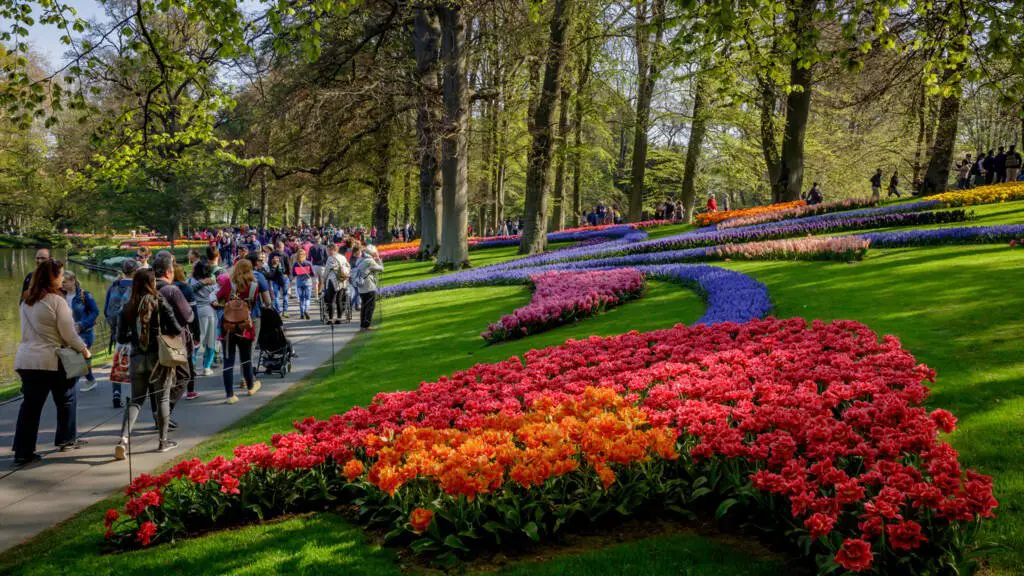ضمن خطة تجريبية - هولندا تسمح بإعادة فتح الحدائق و المسارح أمام الزوار