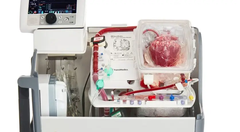 الأطباء الهولنديون ينجحون في إجراء أول عملية زرع قلب في علبة بنجاح