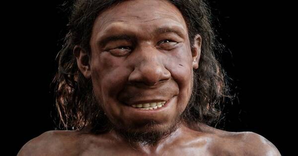 rsz neanderthaler krijn 800p