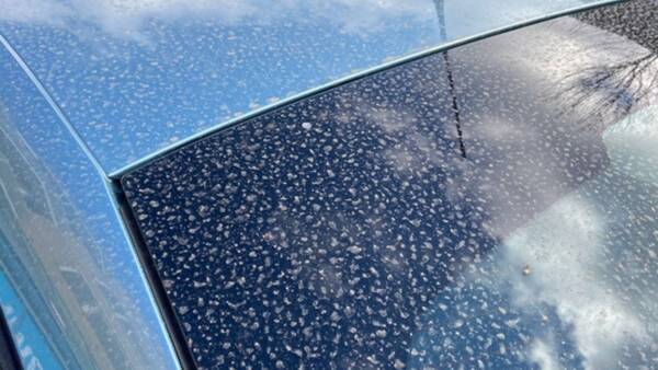 غبار الصحراء