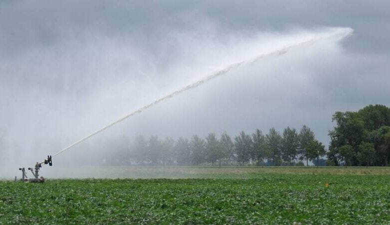 زراعية هولندا مياه