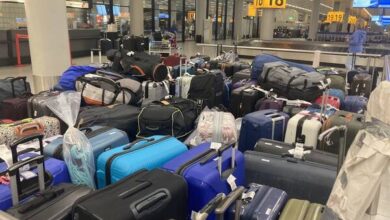 حقائب مطار سخيبول