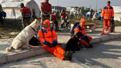 إنقاذ هولندا تركيا زلزال سوريا