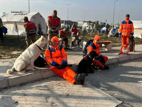 كلاب إنقاذ هولندا تركيا زلزال سوريا