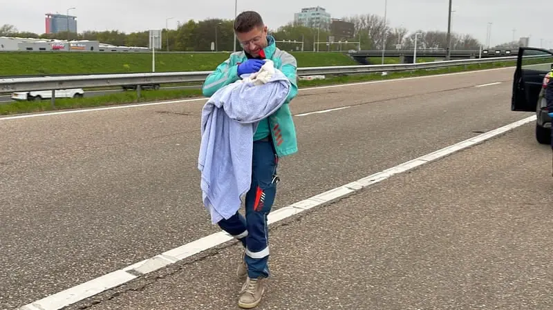 ولادة طفلة على الطريق السريع في هولندا