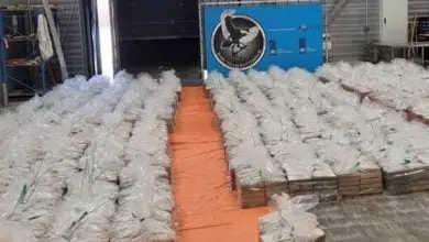 هولندا تعلن ضبط أكبر شحنة مخدرات كوكايين على الإطلاق روتردام