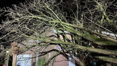 العاصفة لويس هولندا أضرار
