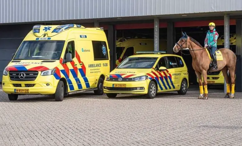 الحصان إسعاف ألكمار هولندا