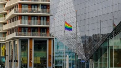 علم المثلية