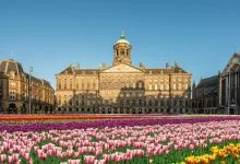 التوليب - أمستردام