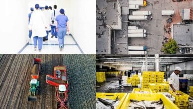 العمل في هولندا